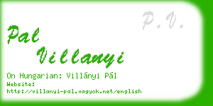 pal villanyi business card