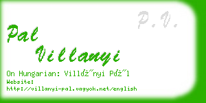 pal villanyi business card